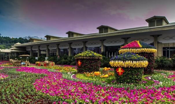 自貢花香田園農(nóng)業(yè)主題公園助推鄉(xiāng)村振興戰(zhàn)略