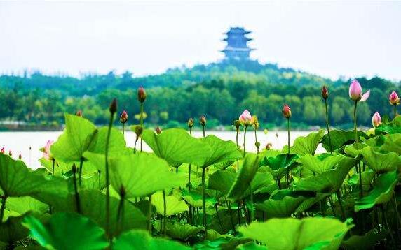 中國文旅產(chǎn)業(yè)的市場潛力龐大，未來市場空間有望達到2萬億元