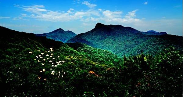 花都區(qū)出臺“白金十條”促進(jìn)旅游產(chǎn)業(yè)發(fā)展，最大一項政策獎勵達(dá)2000萬元???