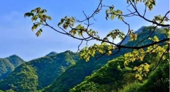 陜西省政府：印發(fā)《秦嶺生態(tài)環(huán)境保護(hù)行動(dòng)方案》，持之以恒有效保護(hù)秦嶺這一國(guó)家重要生態(tài)安全屏障