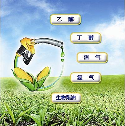 開發(fā)利用生物質(zhì)能源具有深遠(yuǎn)的戰(zhàn)略意義