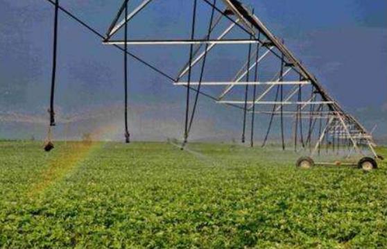 中共中央辦公廳、國(guó)務(wù)院辦公廳印發(fā)《關(guān)于促進(jìn)小農(nóng)戶和現(xiàn)代農(nóng)業(yè)發(fā)展有機(jī)銜接的意見》