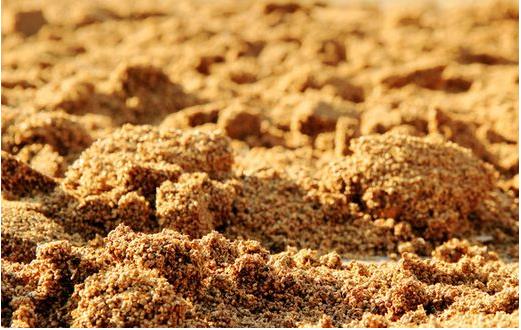 飼料行業(yè)面臨著一個大發(fā)展、大競爭、大淘汰的格局