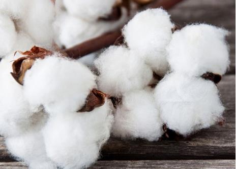2019年1月我國累計進口棉花27.99萬噸，環(huán)比增加27.87%