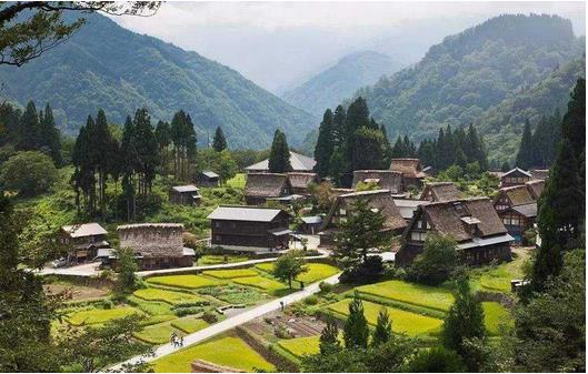 國務(wù)院：推動(dòng)貧困地區(qū)產(chǎn)品和服務(wù)融入全國大市場(chǎng)，助力打贏脫貧攻堅(jiān)戰(zhàn)、推進(jìn)實(shí)施鄉(xiāng)村振興戰(zhàn)略?