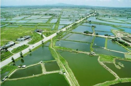 農(nóng)業(yè)農(nóng)村部等10部委聯(lián)合印發(fā)《關(guān)于加快推進水產(chǎn)養(yǎng)殖業(yè)綠色發(fā)展的若干意見》