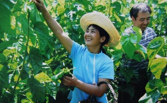 八桂大地續(xù)說蠶桑新故事——廣西蠶桑產業(yè)“十三五”發(fā)展成就側記