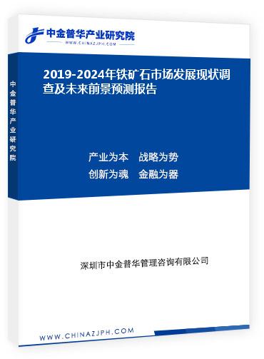 2019-2024年鐵礦石市場發(fā)展現(xiàn)狀調(diào)查及未來前景預(yù)測報(bào)告