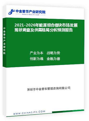 2021-2026年能源組合模塊市場發(fā)展現(xiàn)狀調查及供需格局分析預測報告