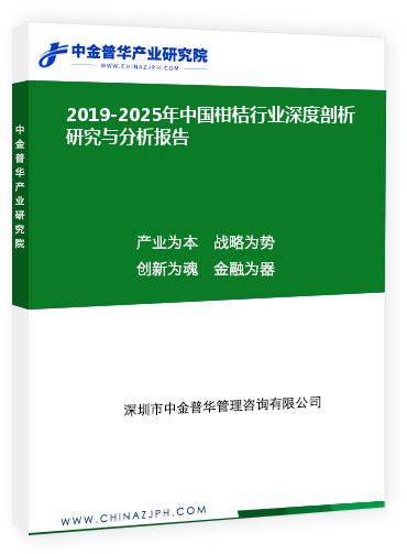 2019-2025年中國柑桔行業(yè)深度剖析研究與分析報(bào)告